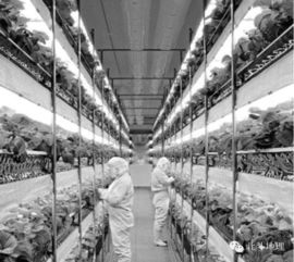 北斗系統(tǒng)首發(fā)與計算機系統(tǒng)集成在2016年高考文科綜合地理試卷中的跨學科融合分析