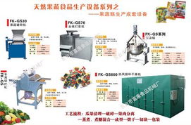 果蔬糕成套設備 高效生產線的視覺與技術解析
